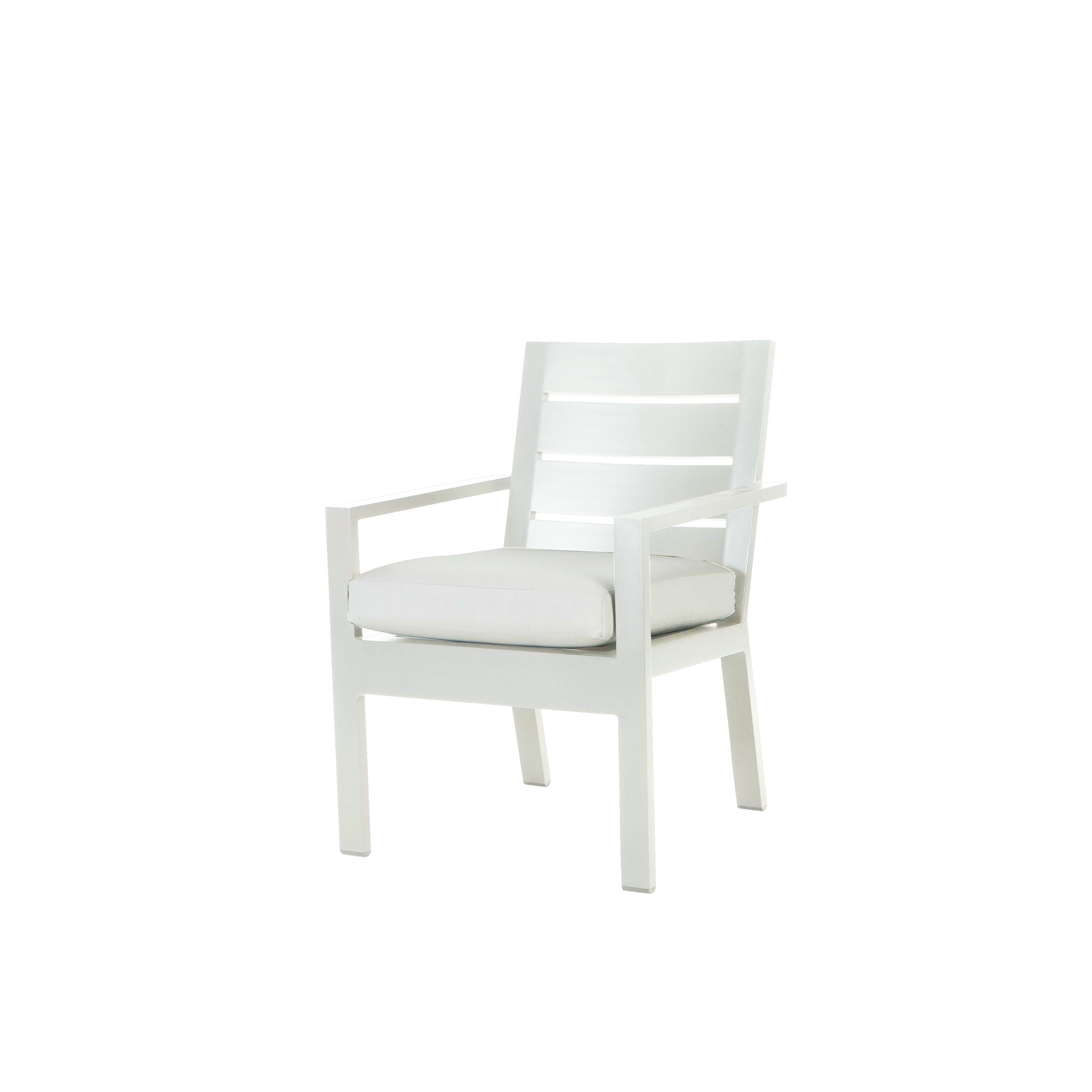 Palermo Dining Arm Chair